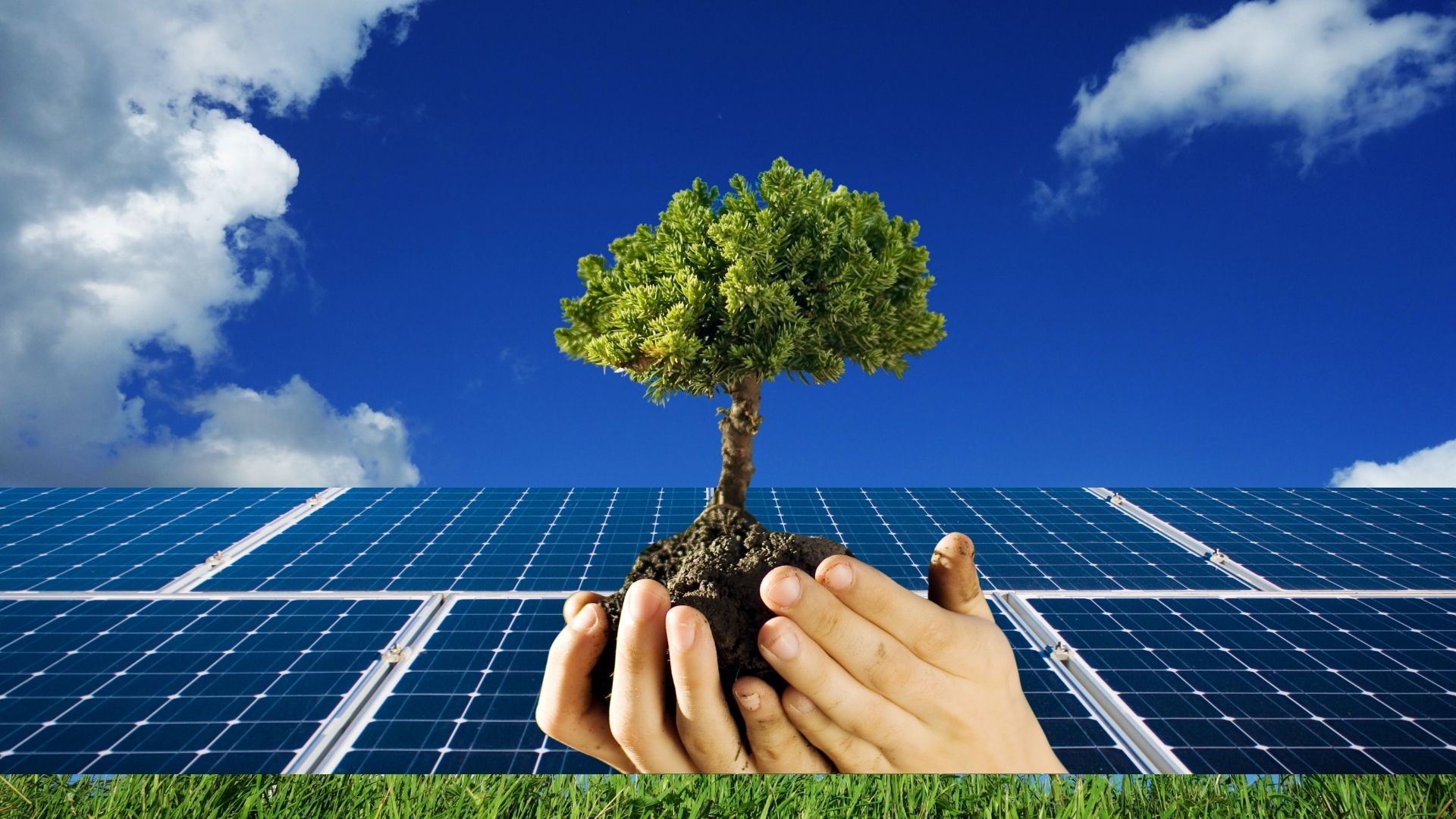 🌎 Día Mundial del Medio Ambiente 2026: La Energía Solar, una Solución para un Futuro Sostenible